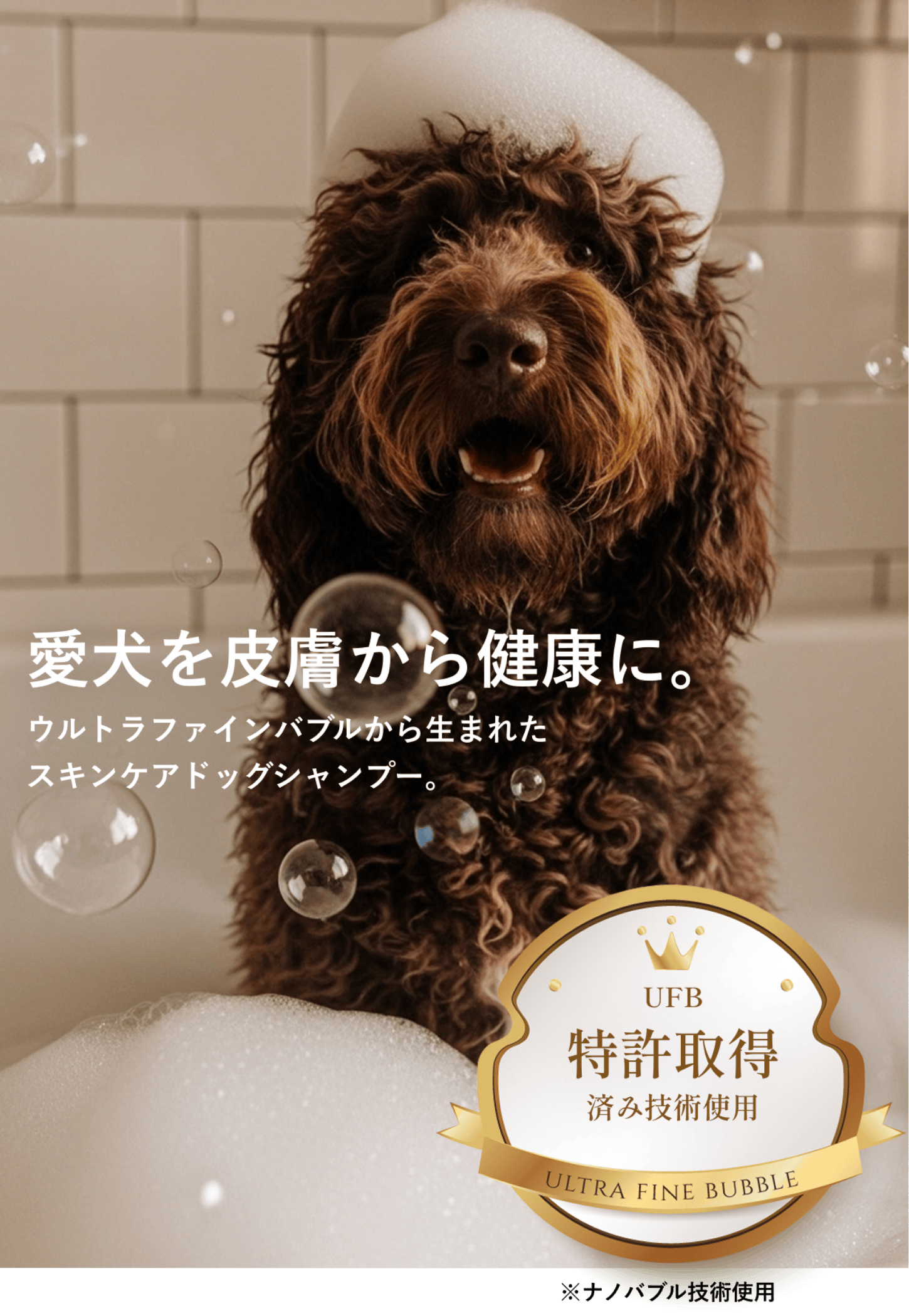 愛犬を皮膚から健康に。ウルトラファインバブルから生まれたスキンケアドッグシャンプー。